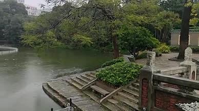 湖水拍摄实拍雨水雨天视频的预览图